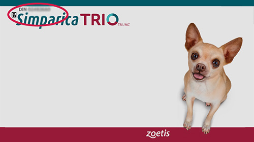 Simparita TRIO