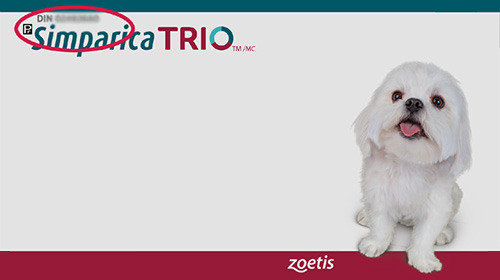 Simparita TRIO