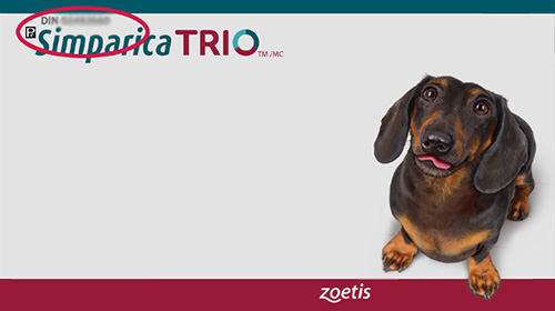 Simparita TRIO