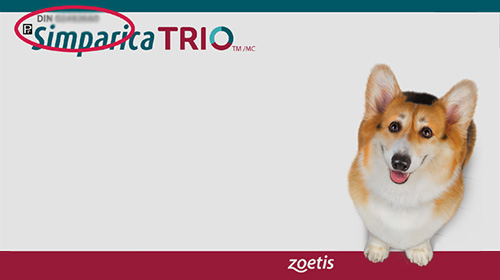 Simparita TRIO