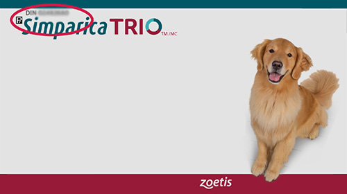 Simparita TRIO
