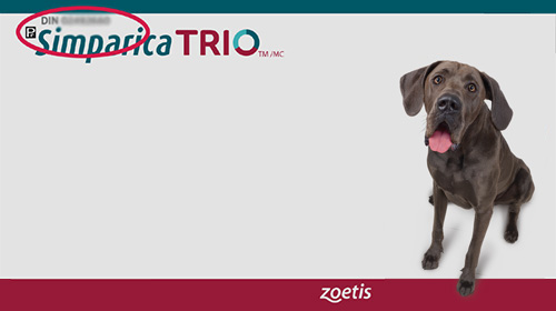 Simparita TRIO