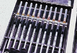 Photo of multiple syringes filled with allergens for intradermal testing